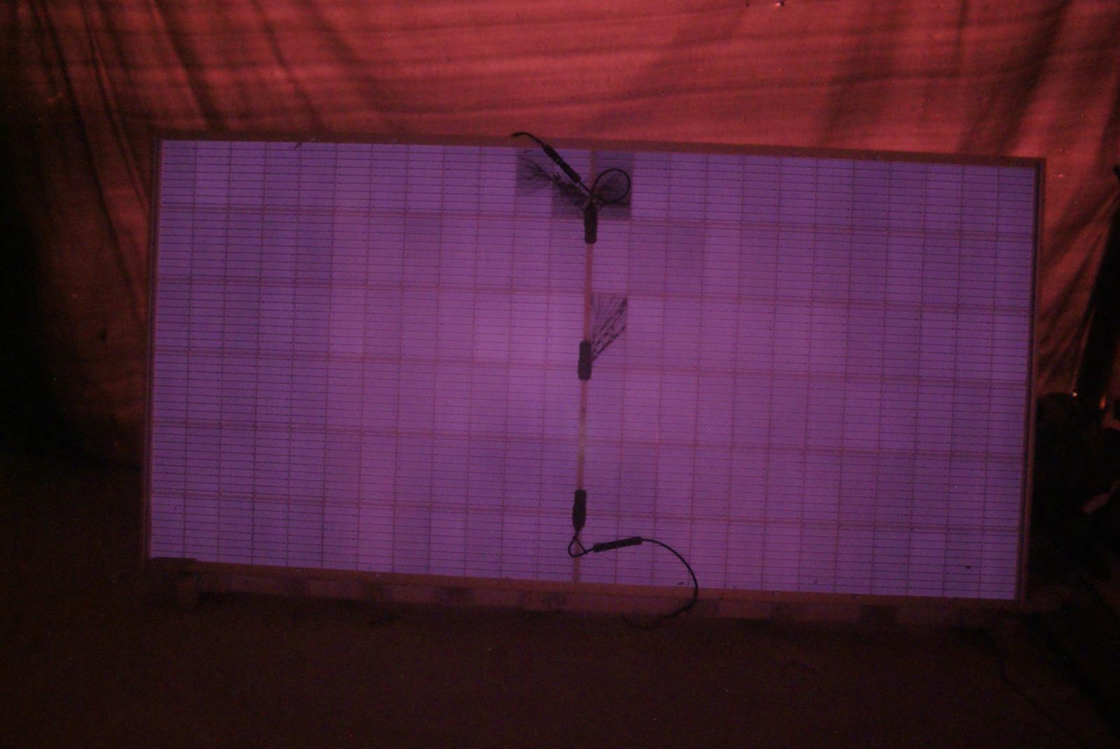 Testes de eletroluminescência em Estúdio